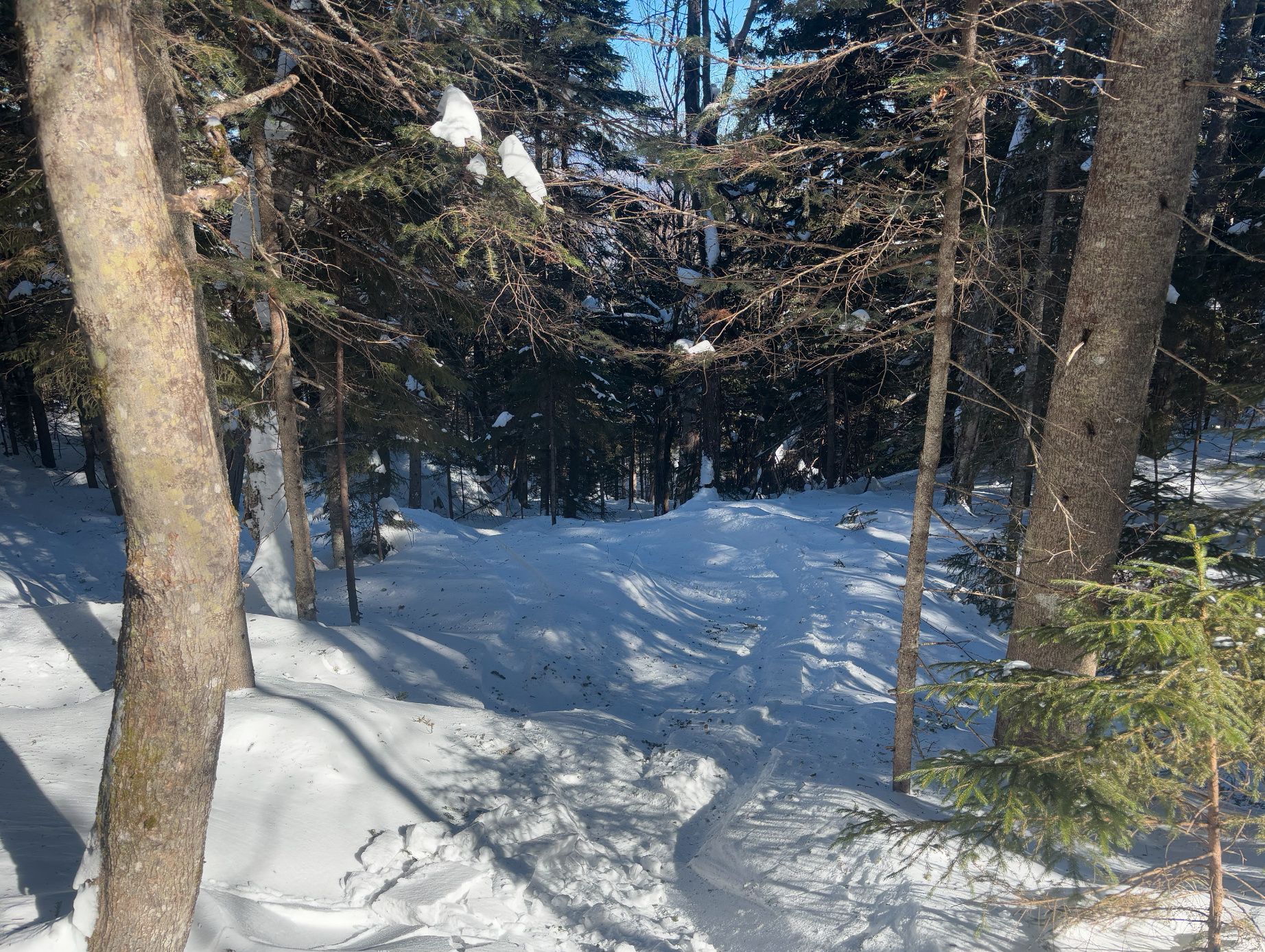 Gordies Gulleys